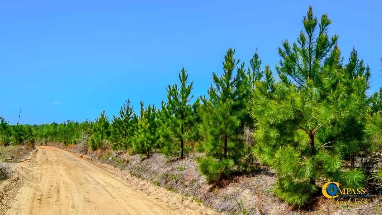 5659 Mt Pisgah Rd Photo 6