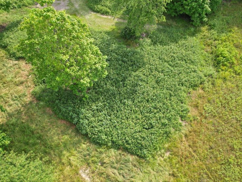 5284 Taylor Road SW, Blacklick, OH 43004 Photo 20