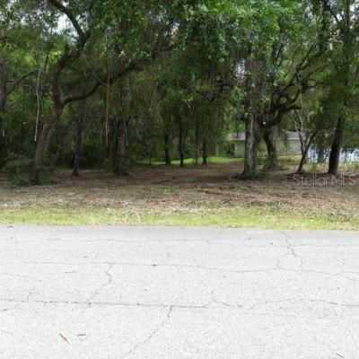 9532 E Peachtree Lane, Inverness, FL 34453 Photo
