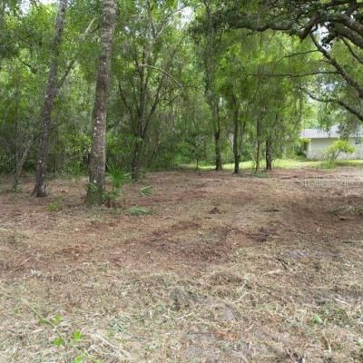 9532 E Peachtree Lane, Inverness, FL 34453 Photo