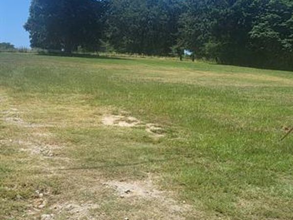 10490 Browning Street, Brownsboro, TX 75756