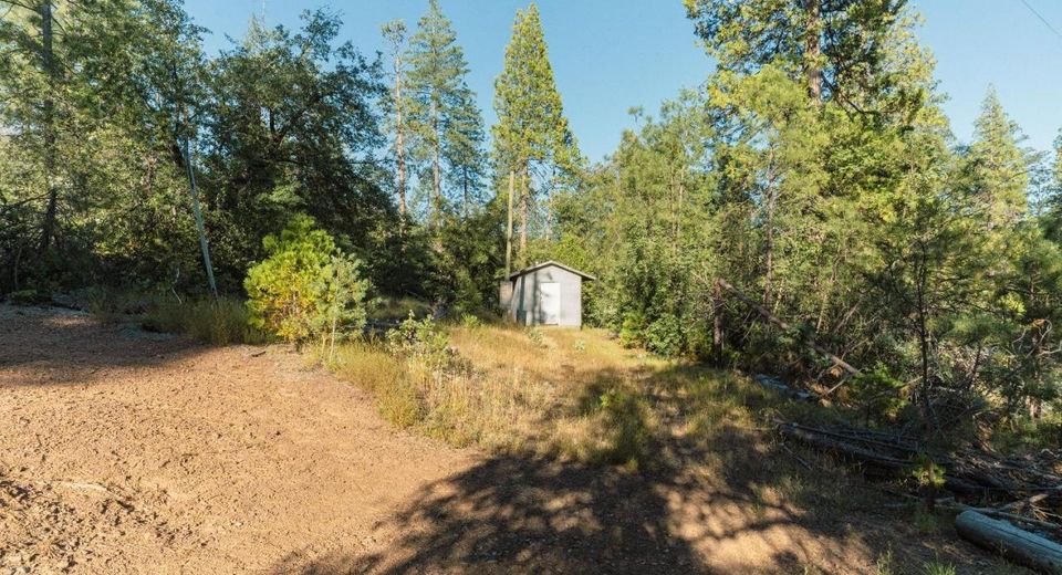 10902 Stout Ln, Coulterville, CA 95311 Photo