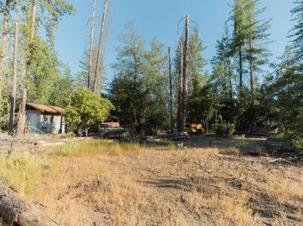 10902 Stout Ln, Coulterville, CA 95311 Photo