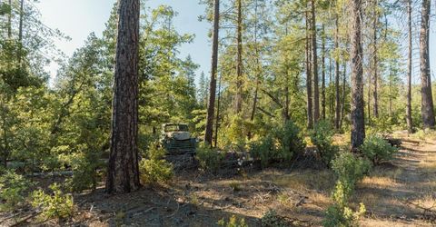 10902 Stout Ln, Coulterville, CA 95311 Photo