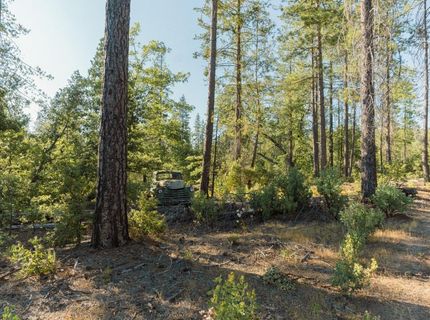 10902 Stout Ln, Coulterville, CA 95311 Photo