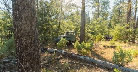 10902 Stout Ln, Coulterville, CA 95311 Photo