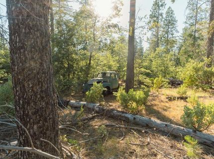 10902 Stout Ln, Coulterville, CA 95311 Photo