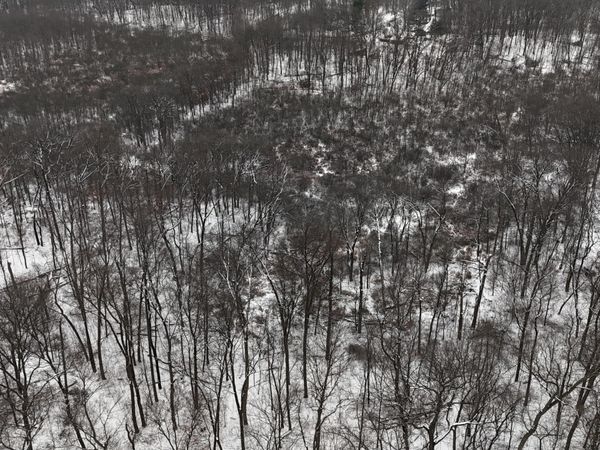 Crooked Creek Rd.   1, White Pigeon, MI 49099