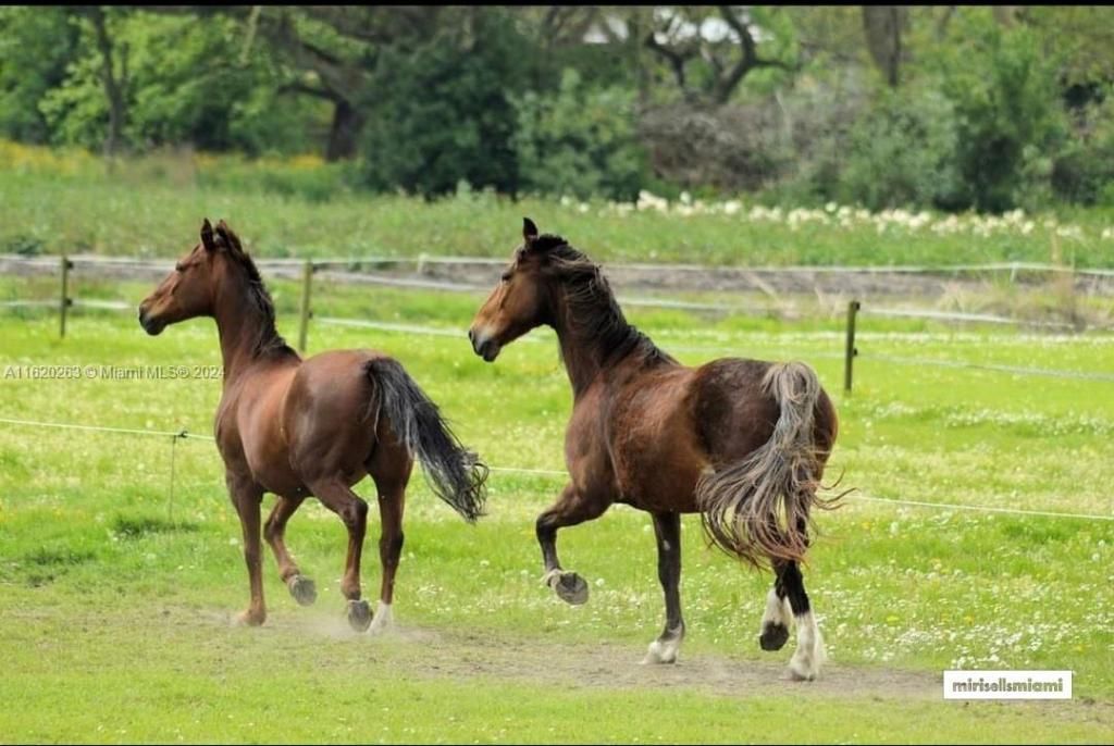 6701 SW 124th Ave, Southwest Ranches, FL 33330 Photo