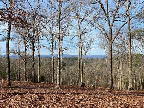 10 Arbor Creek Trail, Mineral Bluff, GA 30559