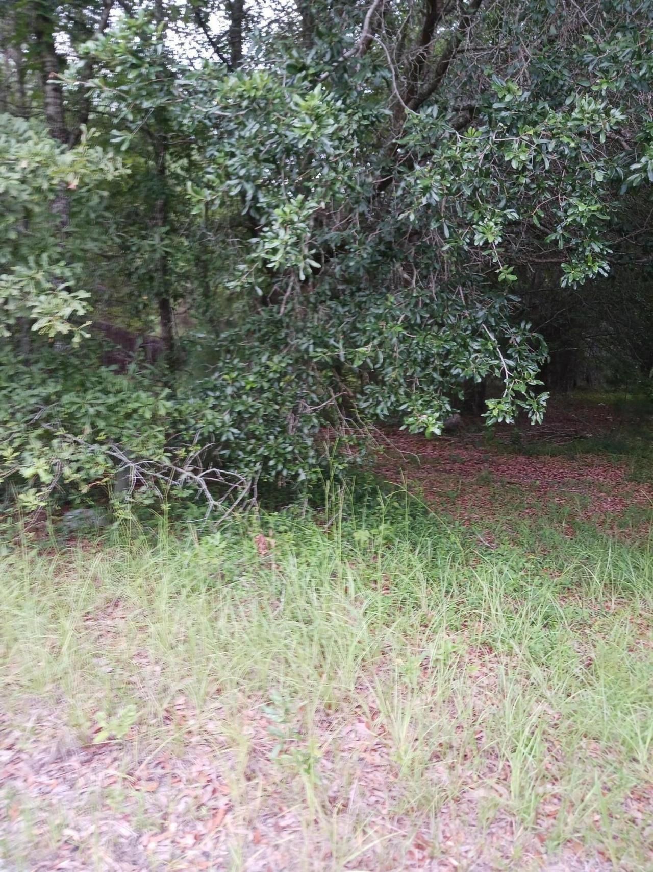 1638 Old Whitesville Road Road Photo 1