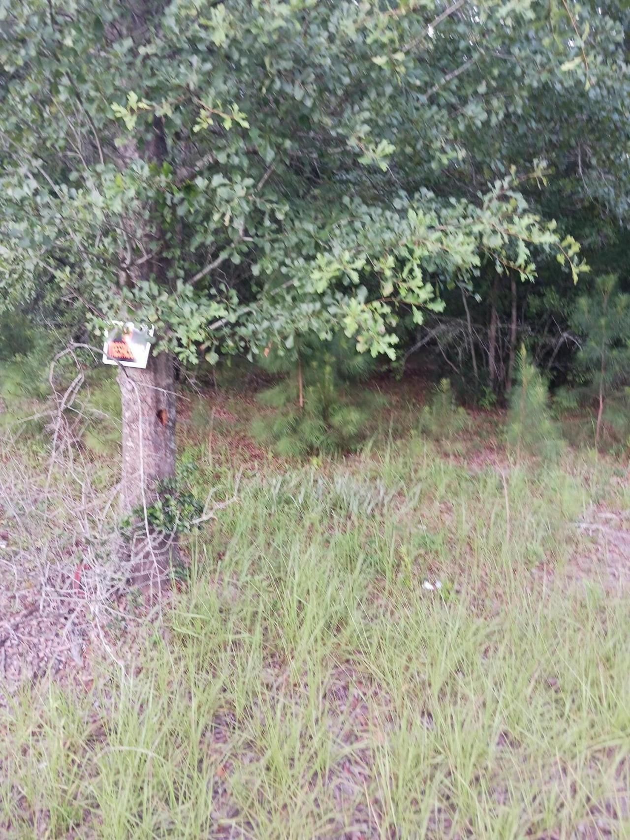 1638 Old Whitesville Road Road Photo 2