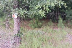 1638 Old Whitesville Road Road photo 4