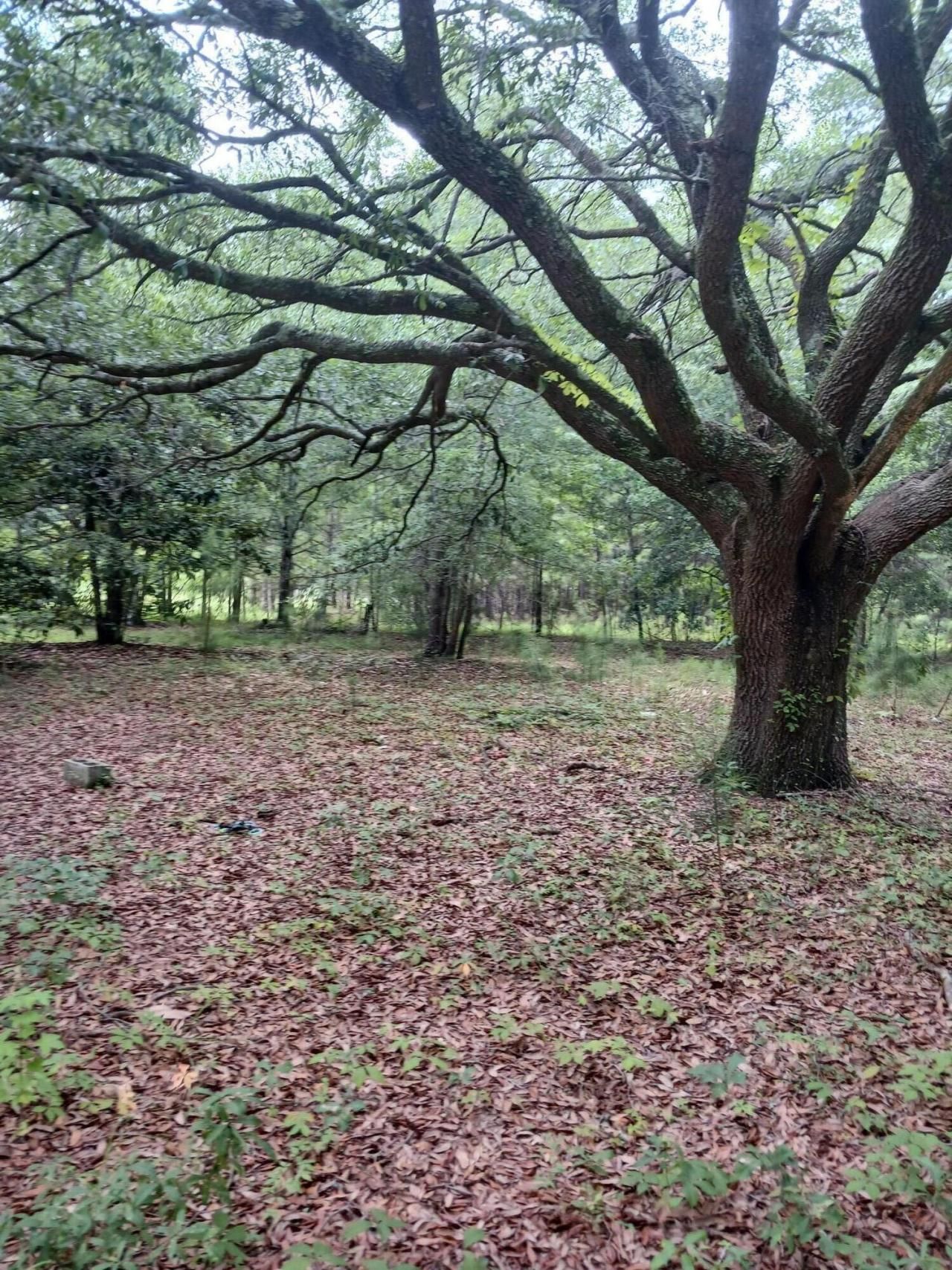 1638 Old Whitesville Road Road Photo 6