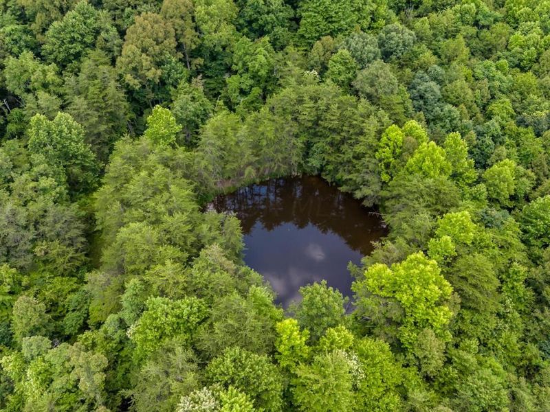 0 Little Road, New Straitsville, OH 43766 Photo 4