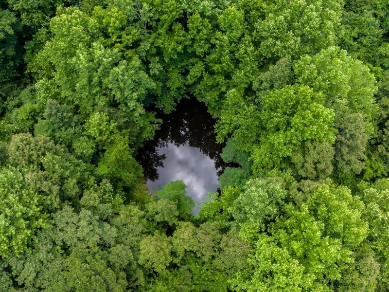 0 Little Road, New Straitsville, OH 43766 Photo 5