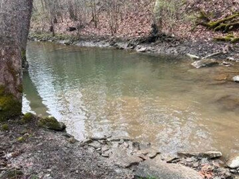 0 Hwy 35 Tract D, Sparta, KY 41086 Photo 4