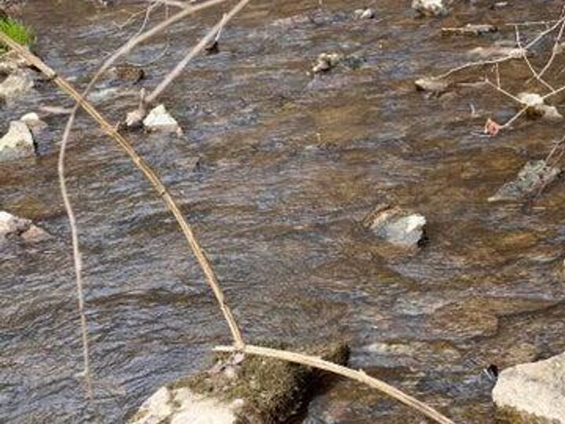 0 Hwy 35 Tract D, Sparta, KY 41086 Photo 5