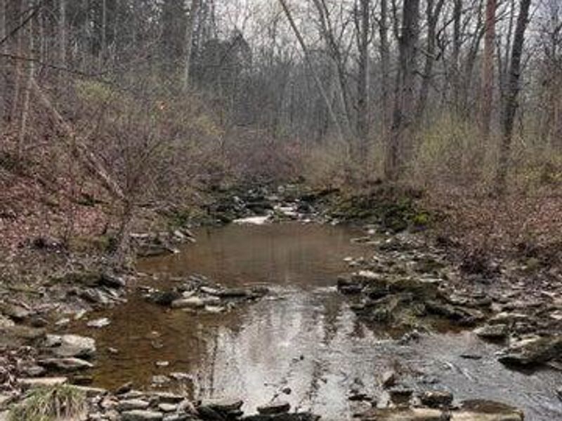 0 Hwy 35 Tract D, Sparta, KY 41086 Photo 6