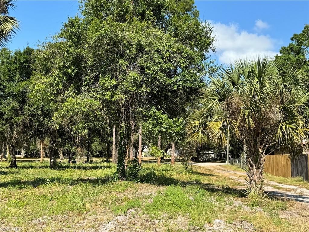0 Magnolia Ave, Labelle, FL 33935 Photo