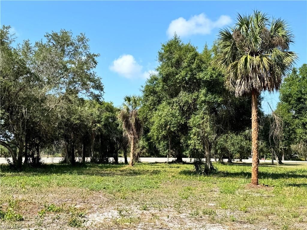 0 Magnolia Ave, Labelle, FL 33935 Photo