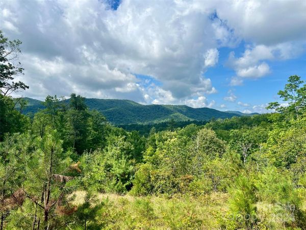 667 Laurel Thicket Lane, Brevard, NC 28712