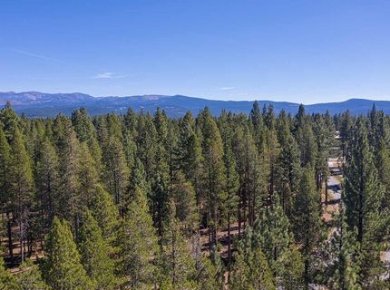 10624 & 10625 Rue Ivy, Truckee, CA 96161 Photo
