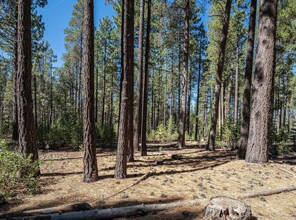 10624 & 10625 Rue Ivy, Truckee, CA 96161 Photo