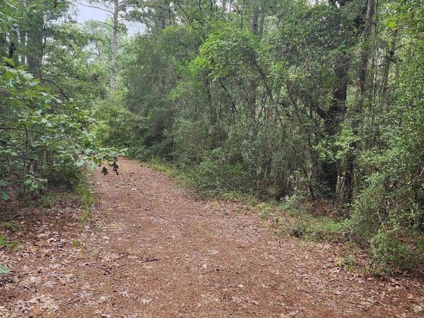 1745 Wardline Rd, Greensburg, LA 70441