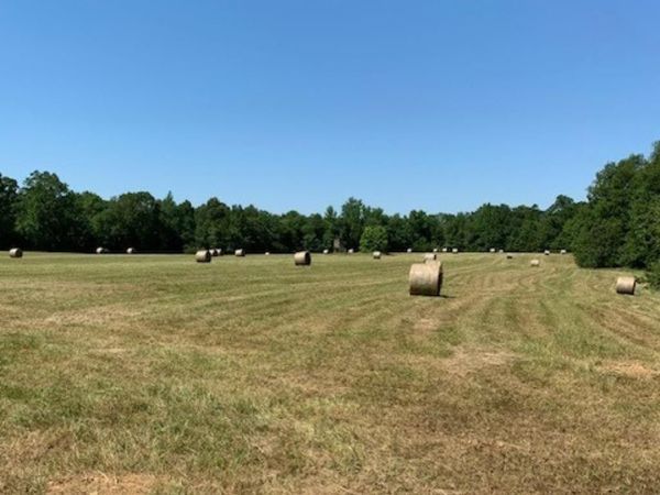 2642 Brodies Landing Road, Parsons, TN 38363