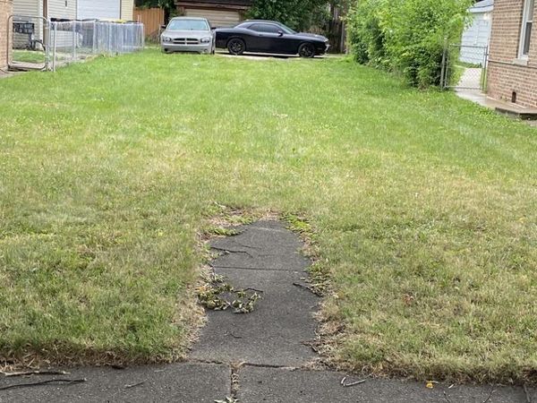 14217 Normal Avenue, Riverdale, IL 60827