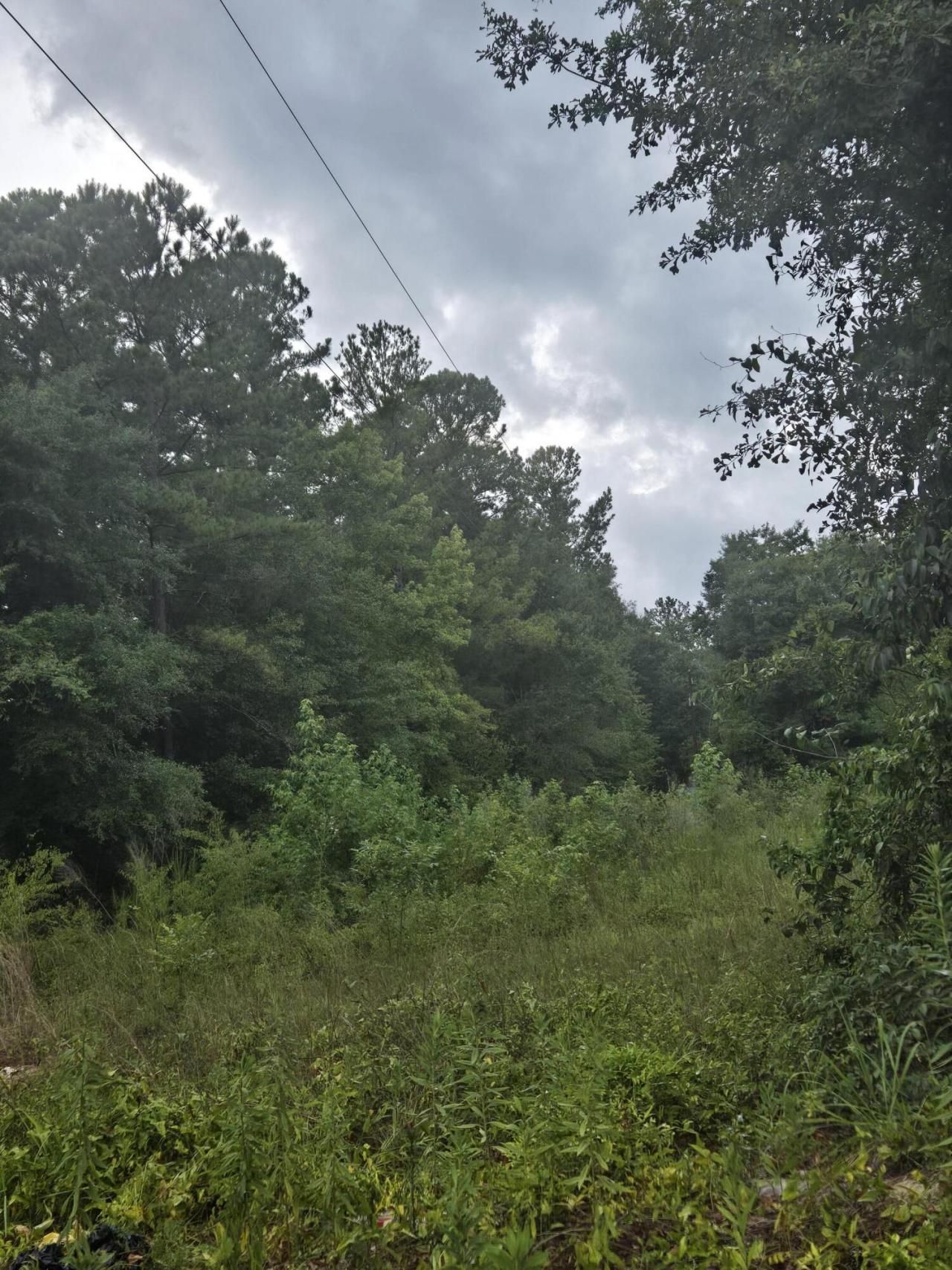 00 Rodenberry Road Photo 10