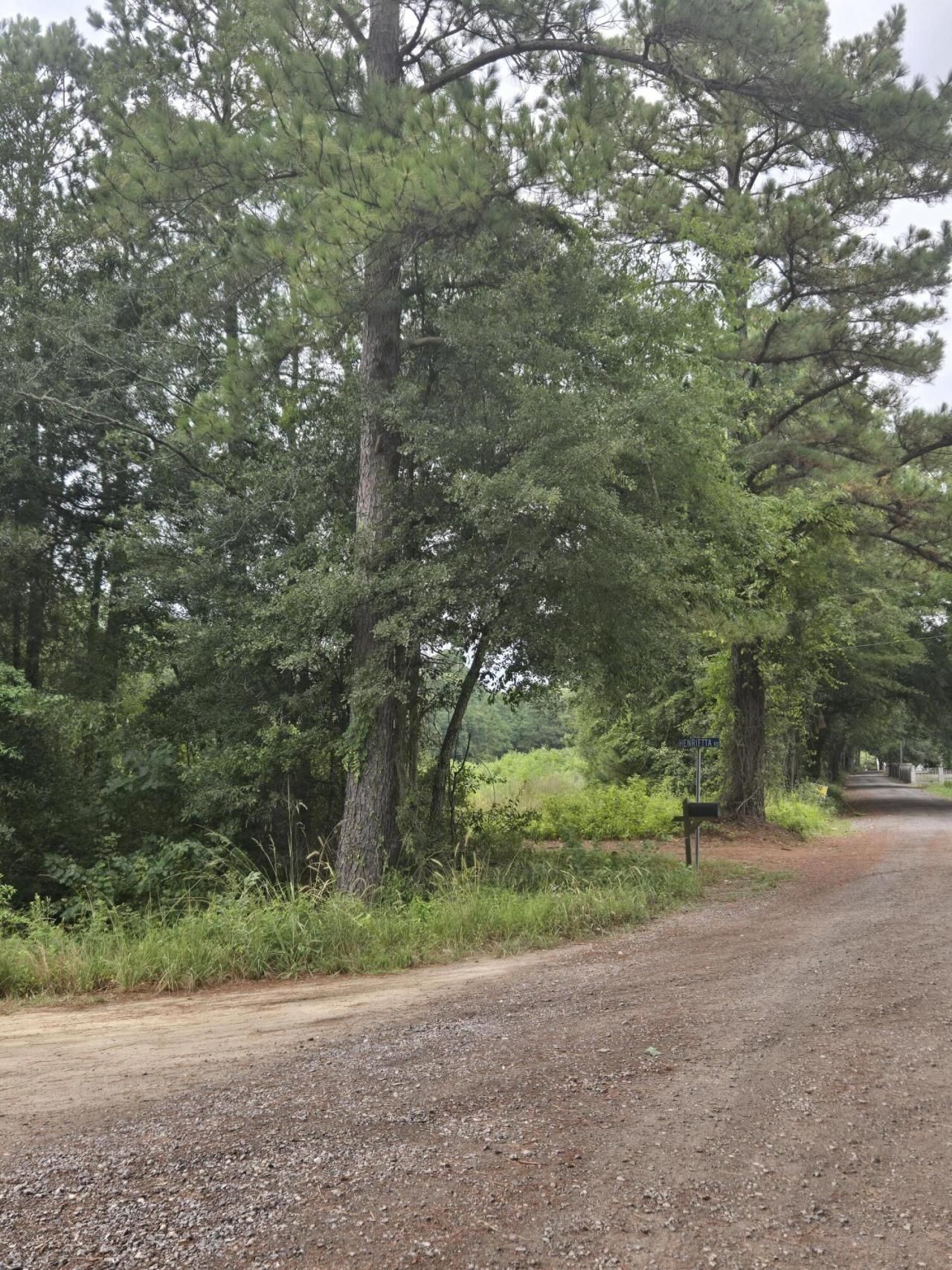 00 Rodenberry Road Photo 2