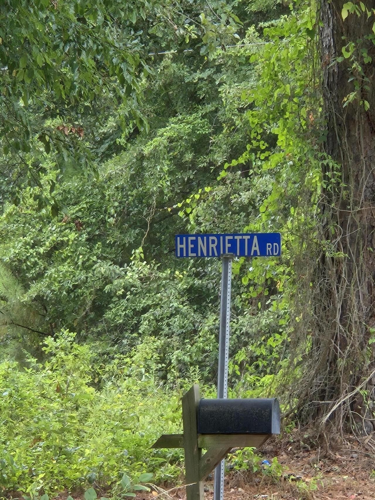 00 Rodenberry Road Photo 3