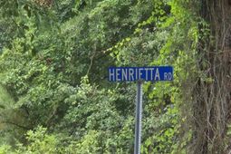 00 Rodenberry Road photo 4