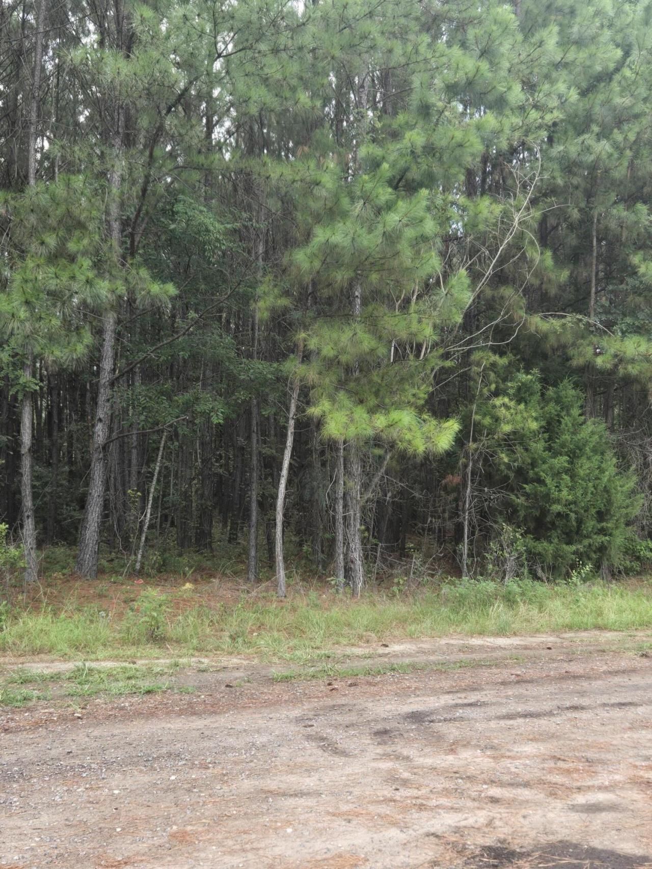 00 Rodenberry Road Photo 4