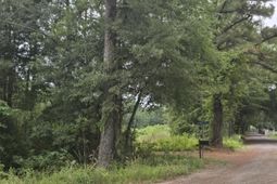 00 Rodenberry Road photo 4