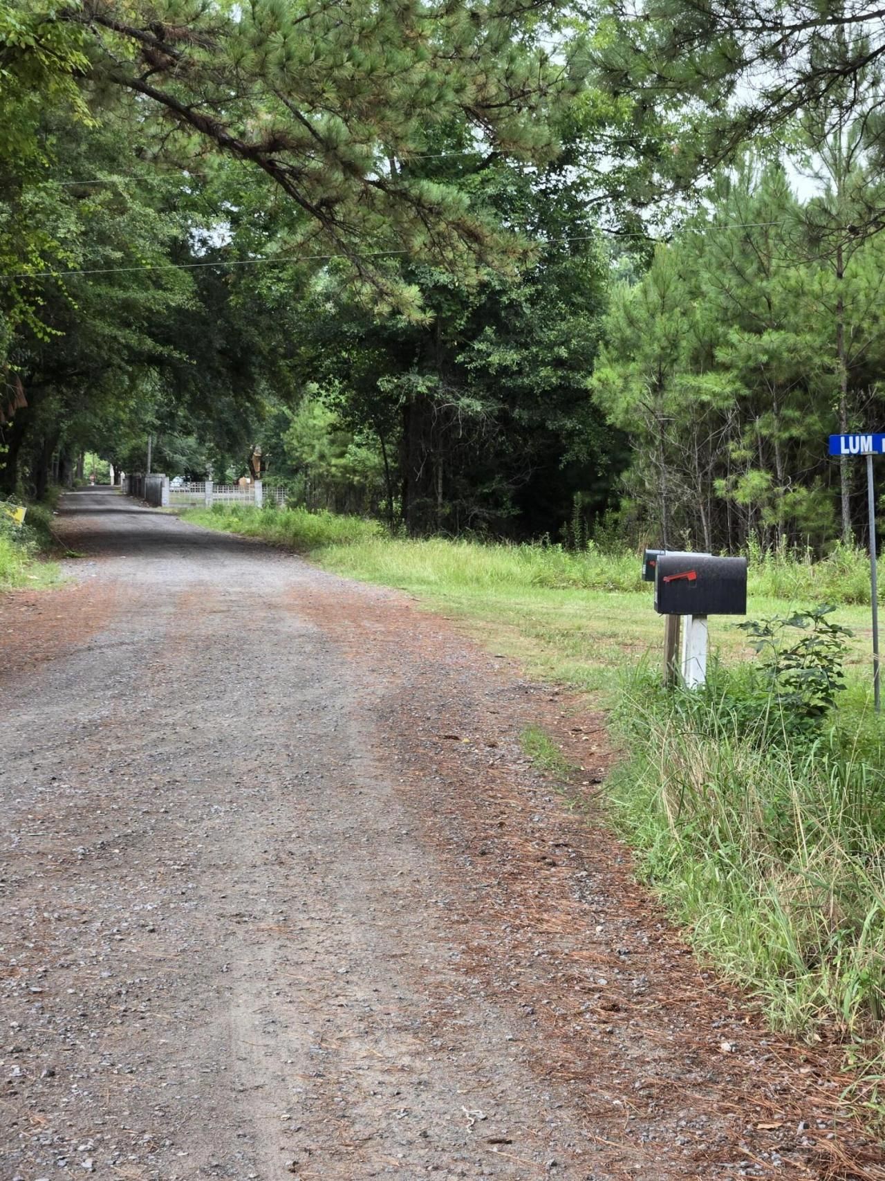 00 Rodenberry Road Photo 6