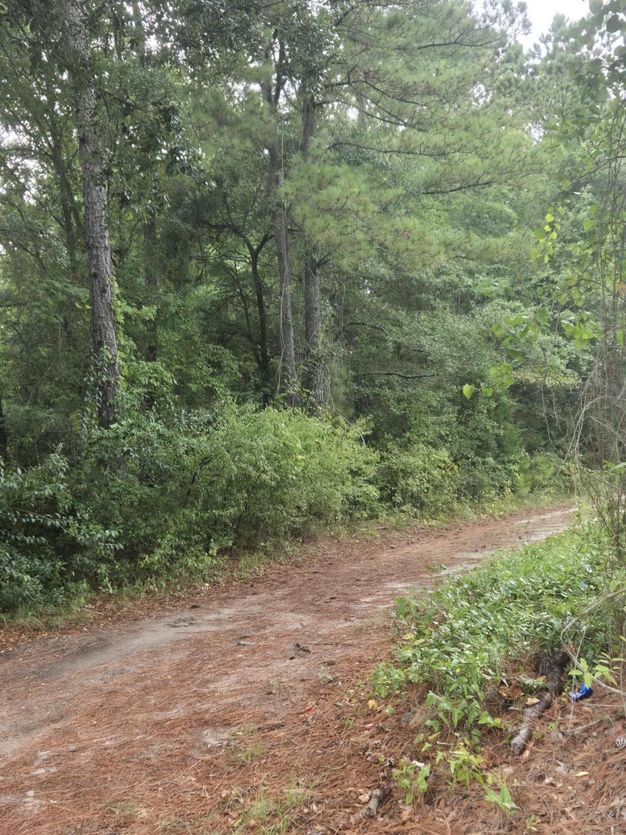 00 Rodenberry Road Photo 9