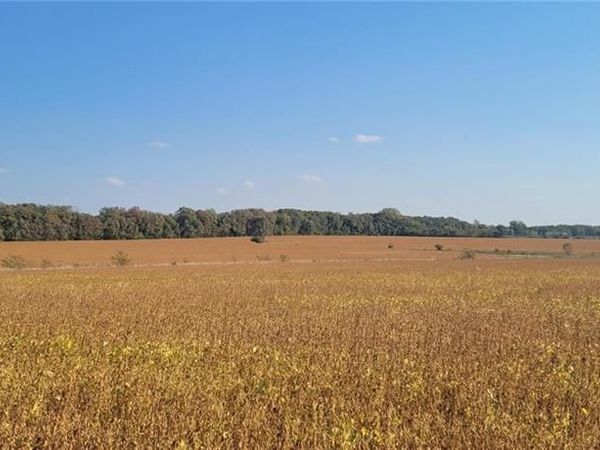 Lot 3 151st & Moonlight Street, County/Other, KS 66061