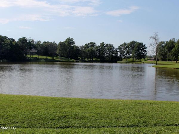 00 Drake Landing Landing, Raymond, MS 39154