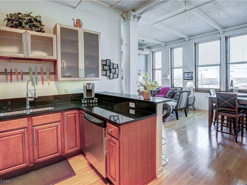 1133 W 9th Street, Unit 206, Cleveland, OH 44113 Photo 7