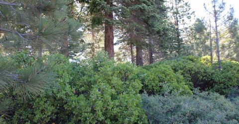 608 Durkin Drive, Lake Almanor, CA 00000 Photo