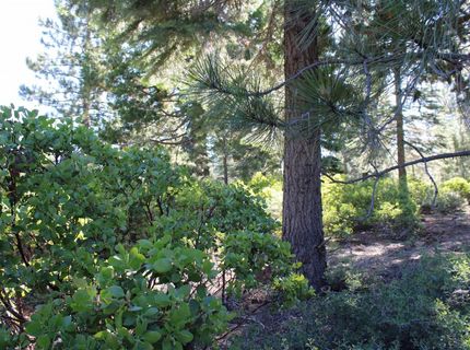 608 Durkin Drive, Lake Almanor, CA 00000 Photo