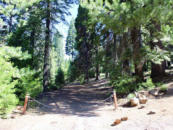 621 W Burnt Cedar Road, Lake Almanor, CA 00000
