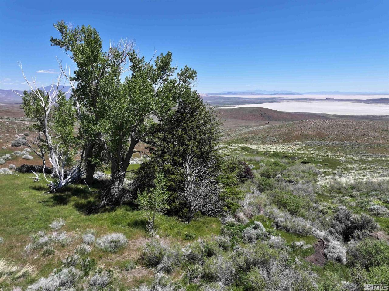 000 Secret Springs, Gerlach, NV 89412 Photo