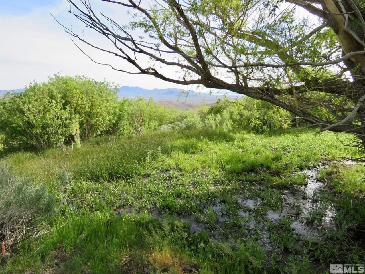 000 Secret Springs, Gerlach, NV 89412 Photo