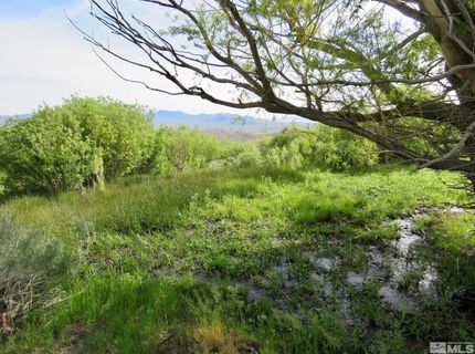 000 Secret Springs, Gerlach, NV 89412 Photo