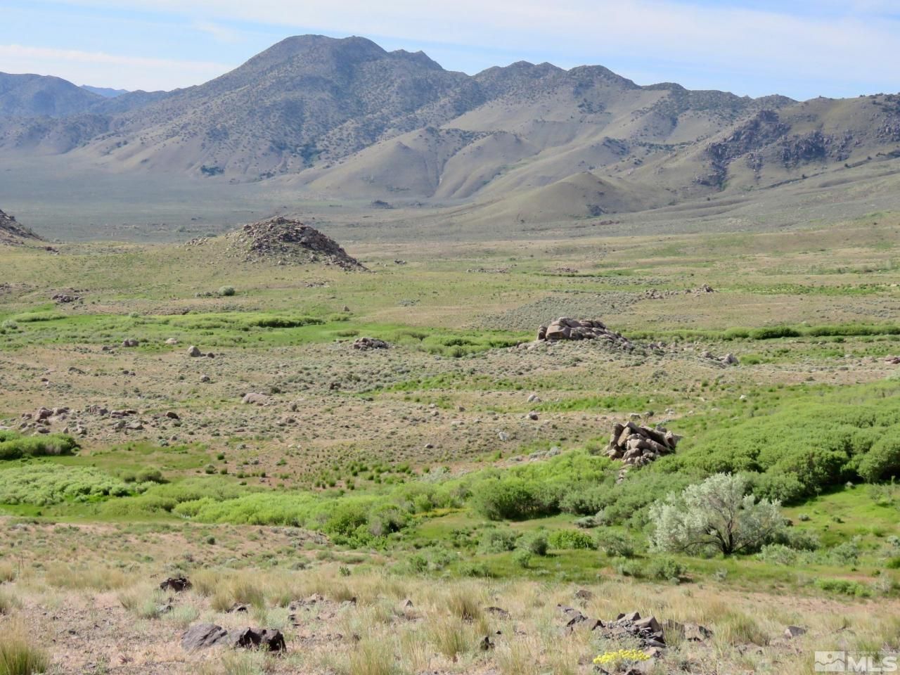 000 Secret Springs, Gerlach, NV 89412 Photo