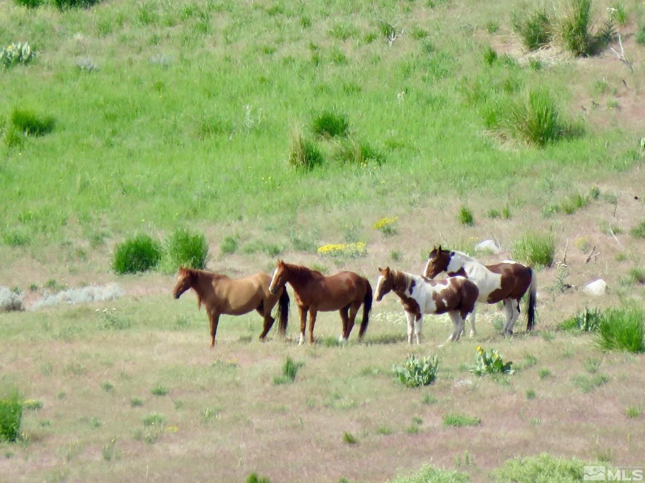 000 Secret Springs, Gerlach, NV 89412 Photo